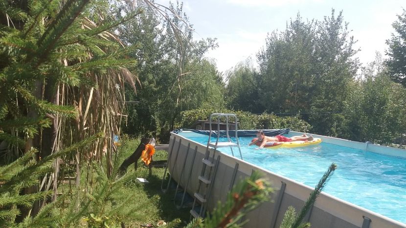  - 19 - Ferma iepuri Moreni iunie 2018