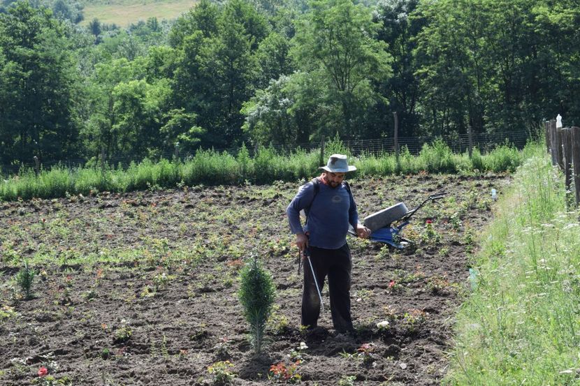  - SFINTE TROITE SI ZIANA