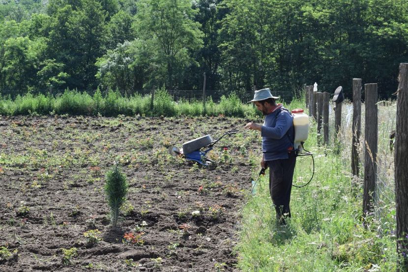  - SFINTE TROITE SI ZIANA