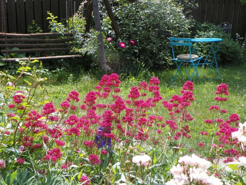 27 mai (37) - Gradina 2018