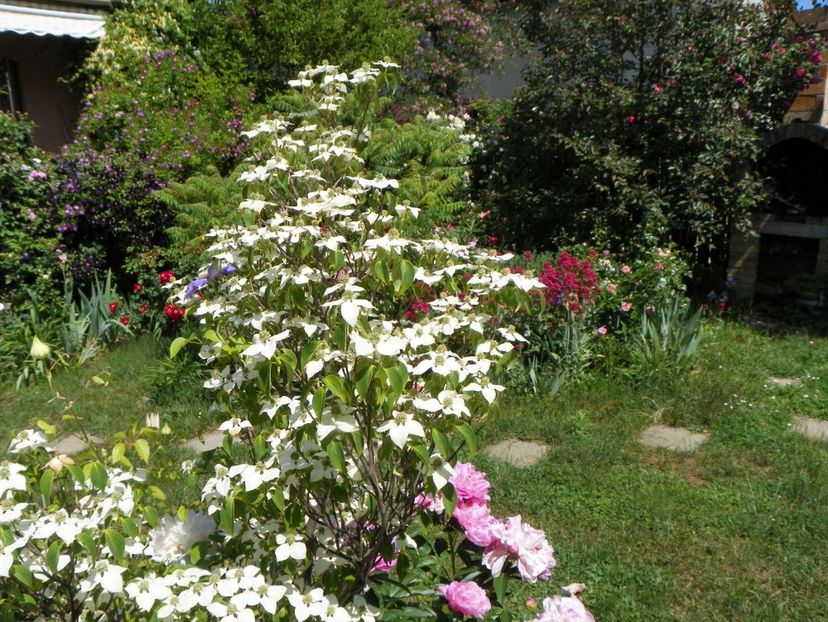 27 mai (92) - Gradina 2018