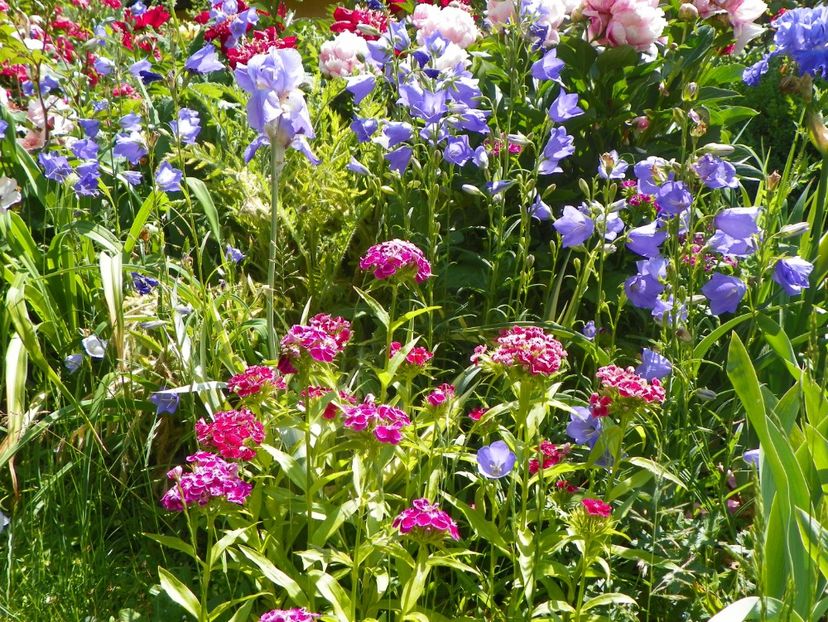 27 mai (74) - Primavara 2018