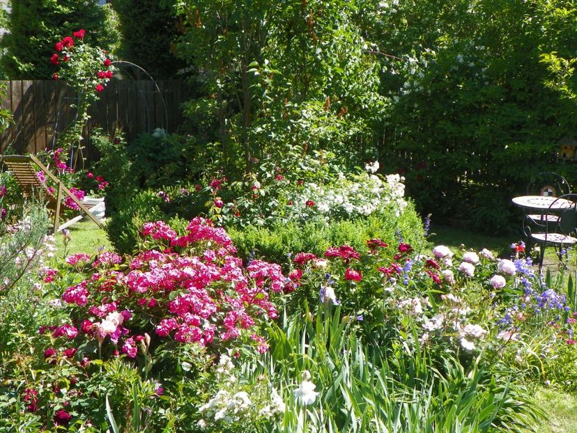 29 mai (15) - Gradina 2018