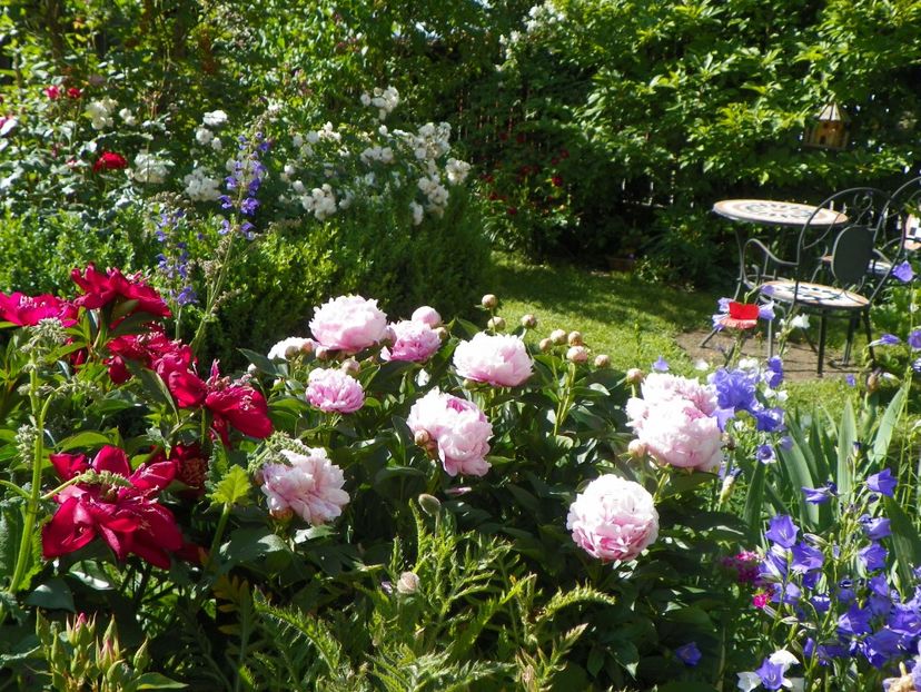 29 mai (59) - Gradina 2018