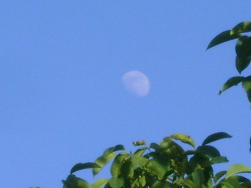 Luna in crestere in Scorpion - Luna - Soarele si norii - 1