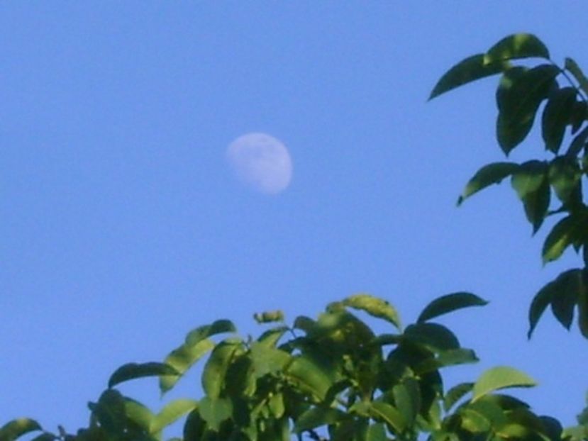 Luna in crestere in Scorpion - Luna - Soarele si norii - 1