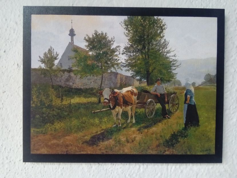 80 - Tablouri - viata la tara