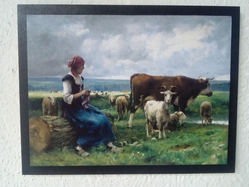 82 - Tablouri - viata la tara