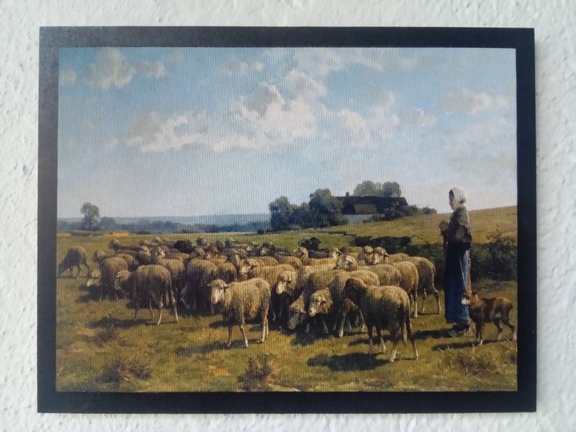 85 - Tablouri - viata la tara