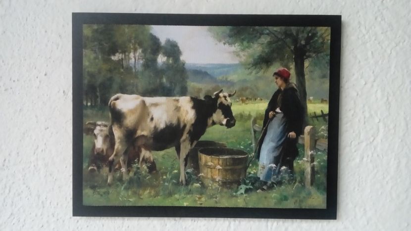 100 - Tablouri - viata la tara