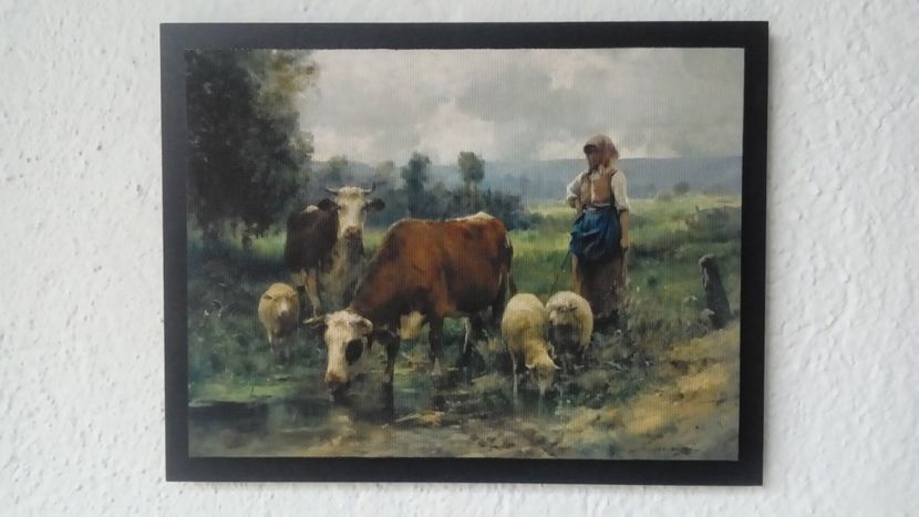 101 - Tablouri - viata la tara