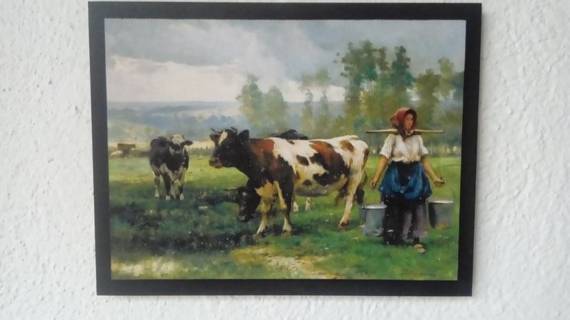 103 - Tablouri - viata la tara