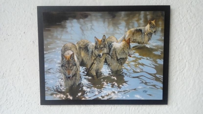 2 - Tablouri- animale