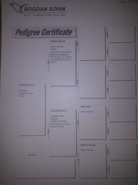  - Perechea 1- Bogdan Sorin