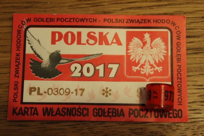 PL FCI 2O17 - POLONIA PL