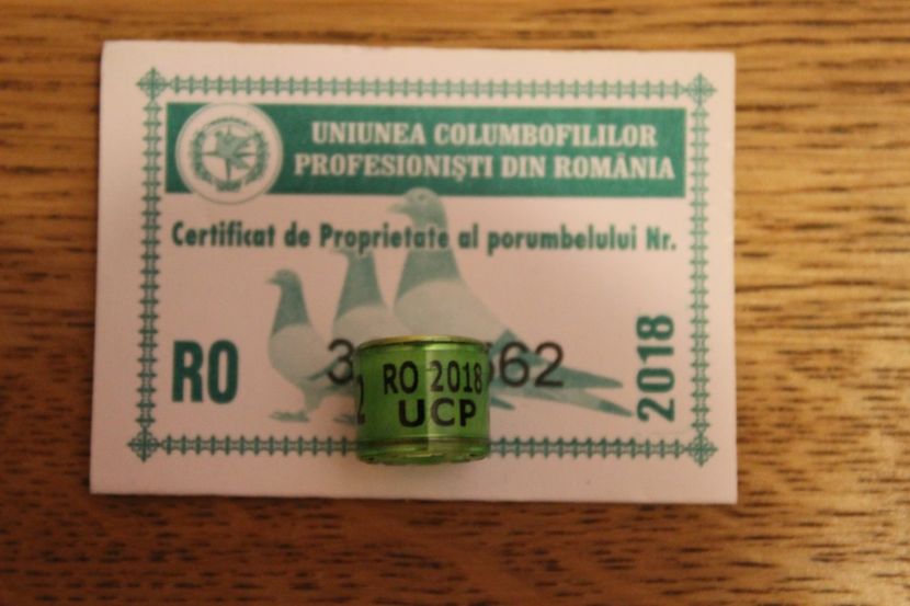 RO 20018 UCP - COLECTIE  DE INELE   ROMANIA