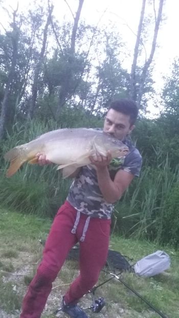  - La peste