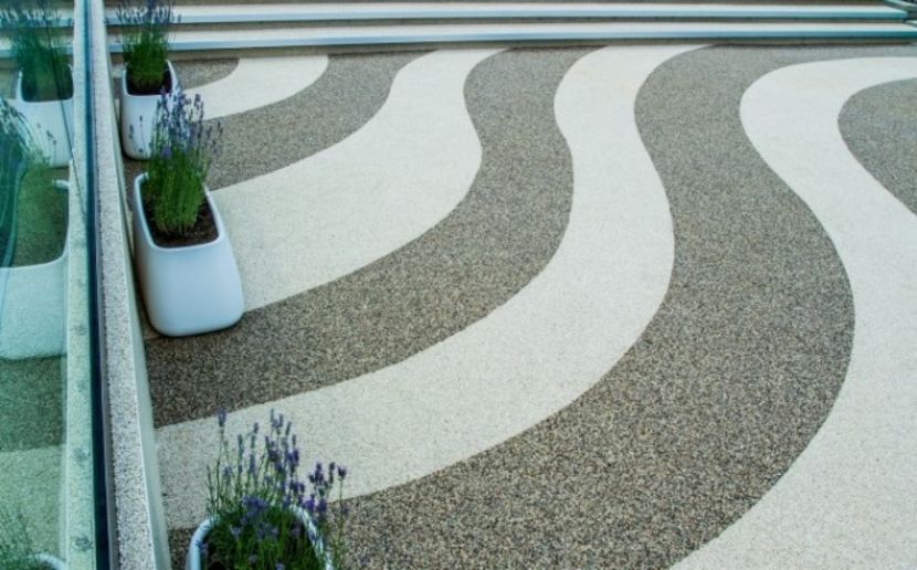 464_image_3 - Pfoto net id