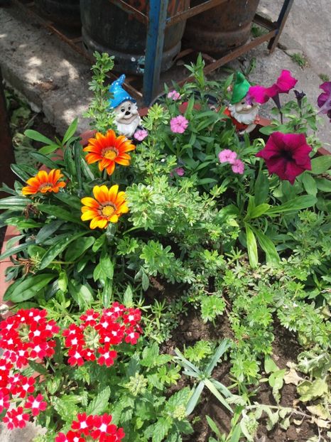 - Gradina 2018