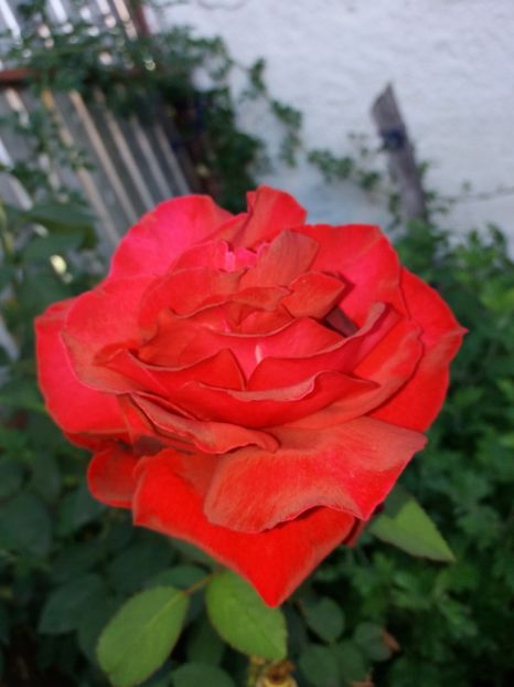  - La țară iunie 2018