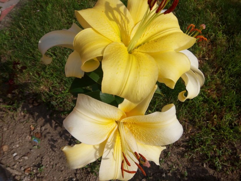 Eldoret - A CRINI 2018