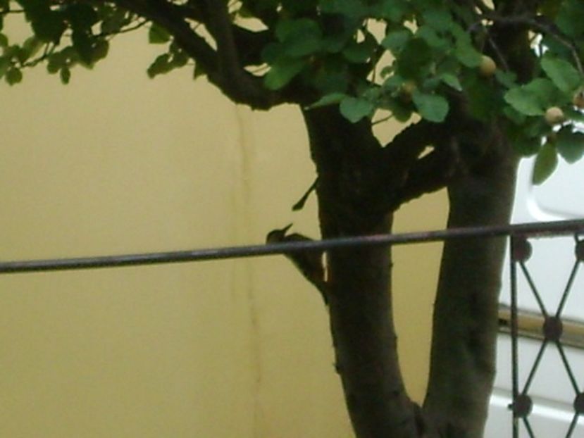  - r Vara 2016-2017-2018-2019