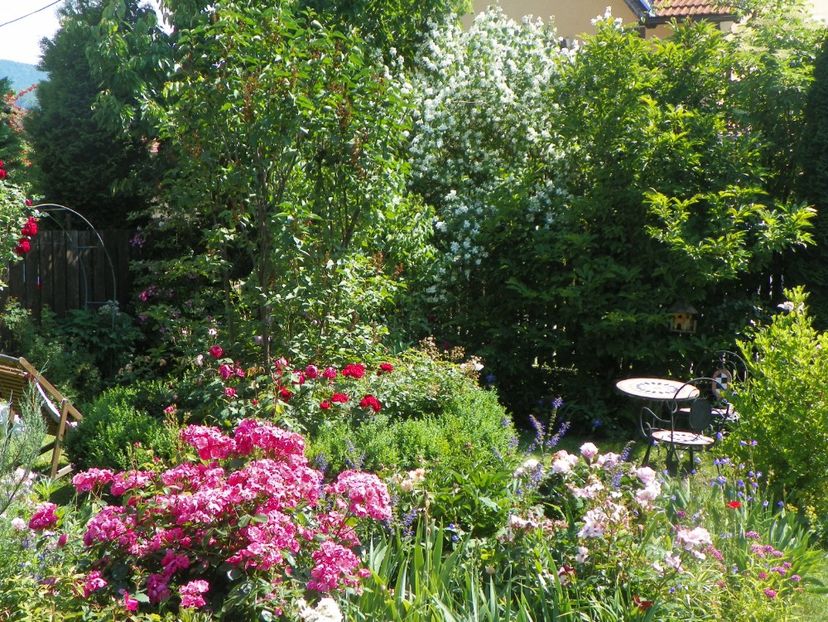 7 iun (51) - Gradina 2018