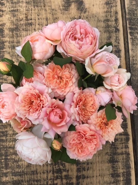  - Trandafiri Buchete