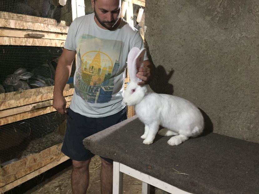  - O femela valoroasa-pentru mine