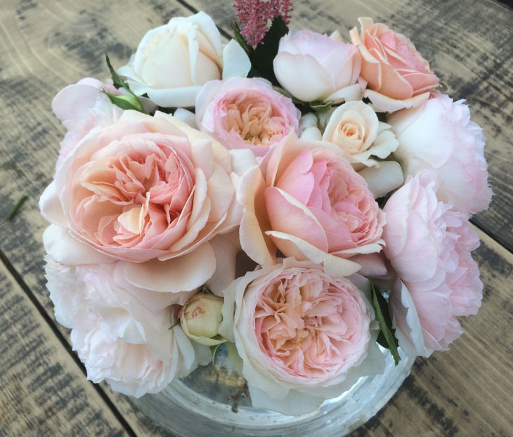  - Trandafiri Buchete