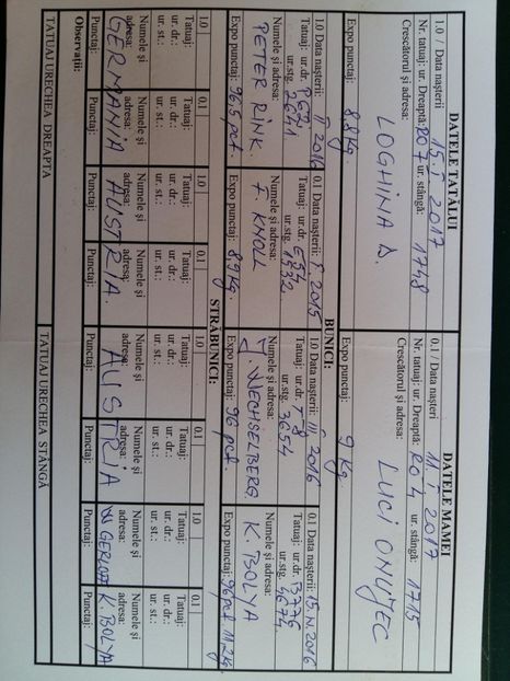 F    RO 7  2820 - TINERET 2018