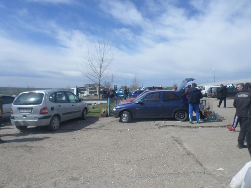 SAM_5106 - TIRG DE PASARI KRUSOVITA BULGARIA 2017-2018