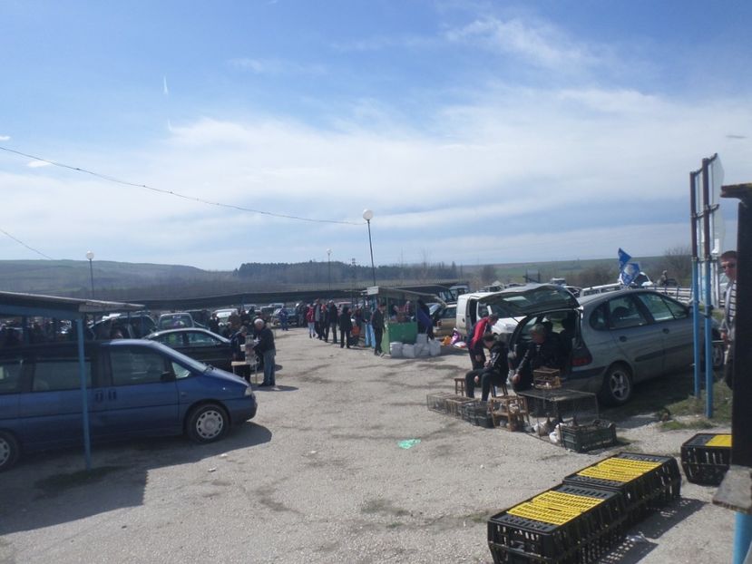 SAM_5110 - TIRG DE PASARI KRUSOVITA BULGARIA 2017-2018