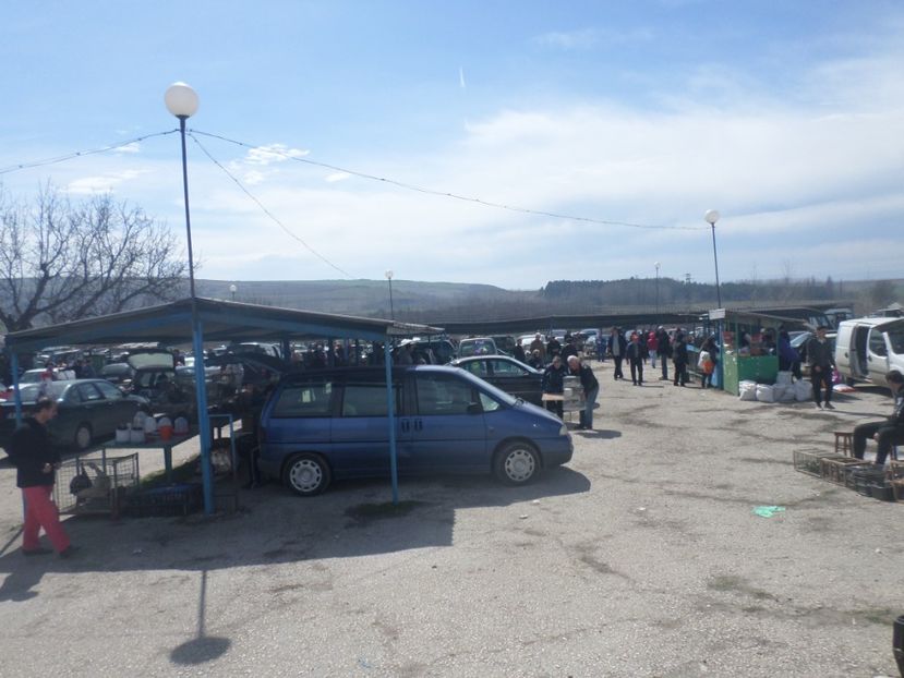 SAM_5111 - TIRG DE PASARI KRUSOVITA BULGARIA 2017-2018