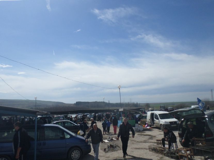 SAM_5114 - TIRG DE PASARI KRUSOVITA BULGARIA 2017-2018
