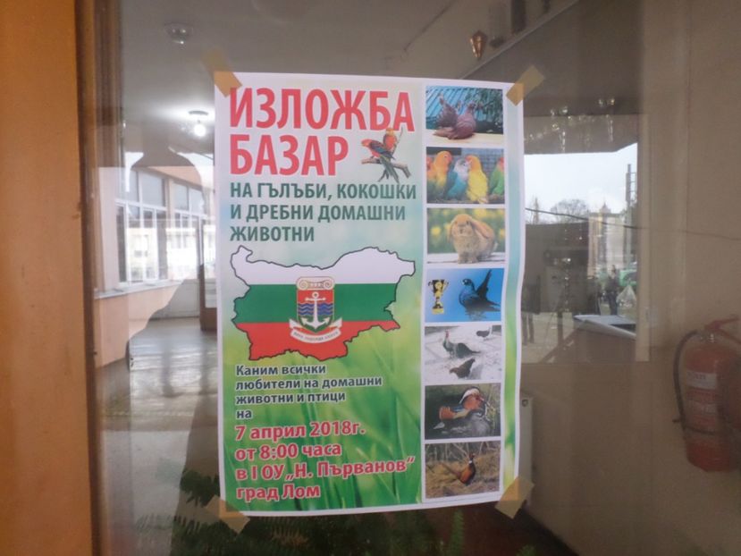 SAM_5118 - EXPO LOM BULGARIA 2018