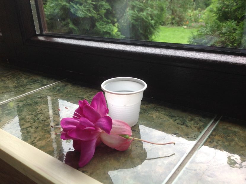  - Jollie La Grande Blue Satin