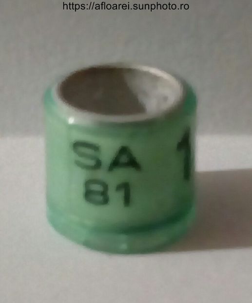 SA 81 - AFRICA DE SUD