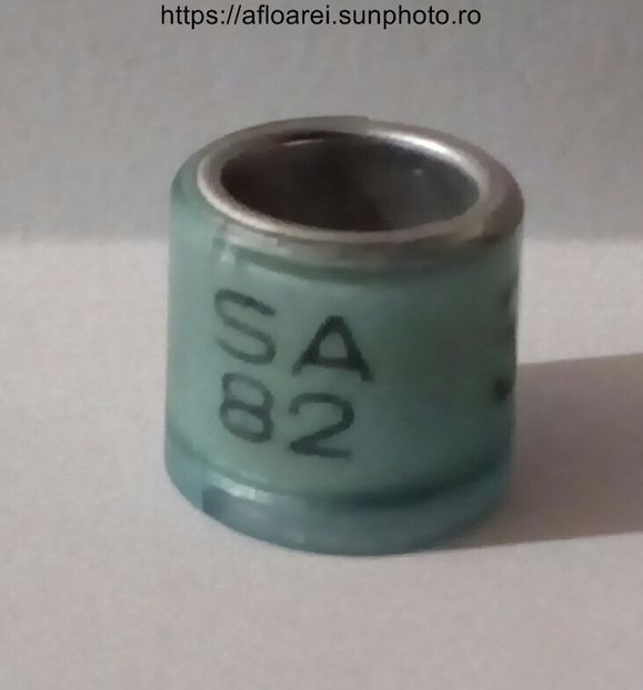 SA 82 - AFRICA DE SUD