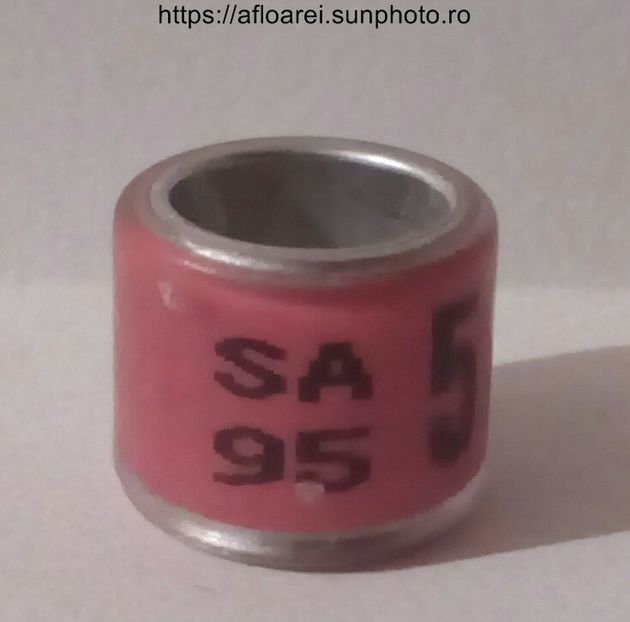 SA 95 - AFRICA DE SUD