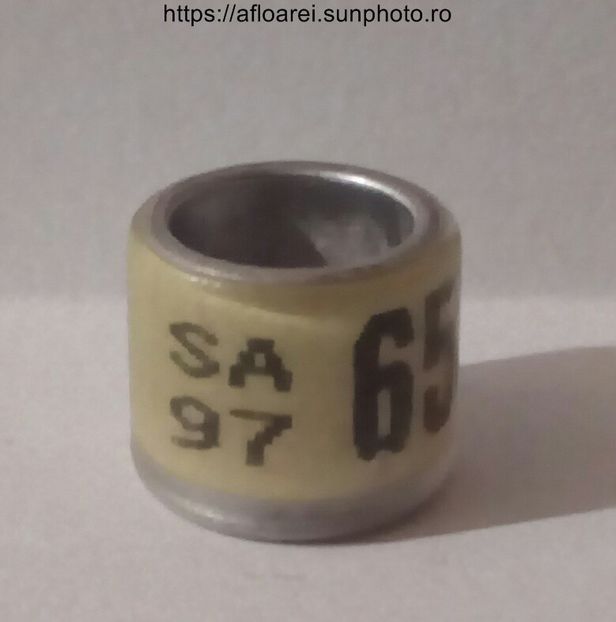 SA 97 - AFRICA DE SUD