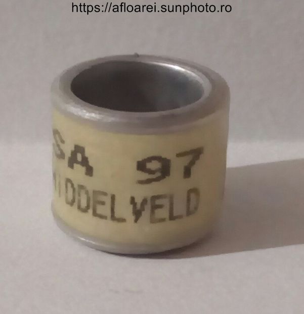 SA 97 MIDDELVELD - AFRICA DE SUD