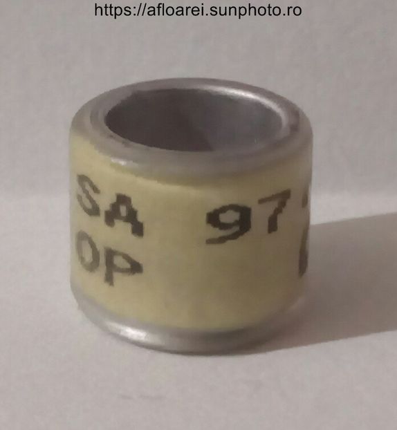 SA 97 OP - AFRICA DE SUD