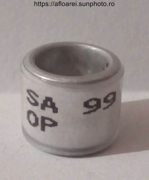 SA 99 OP - AFRICA DE SUD