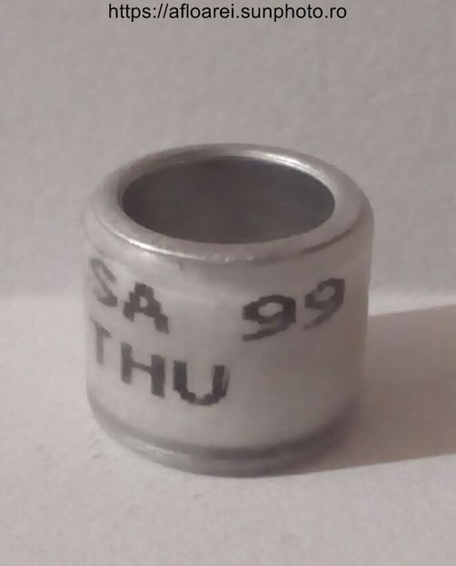 SA 99 THU - AFRICA DE SUD