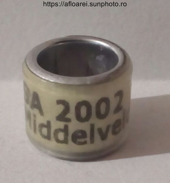 SA 2002 MIDDELVELS - AFRICA DE SUD