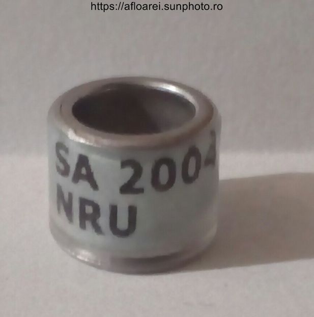 SA 2004 NRU - AFRICA DE SUD