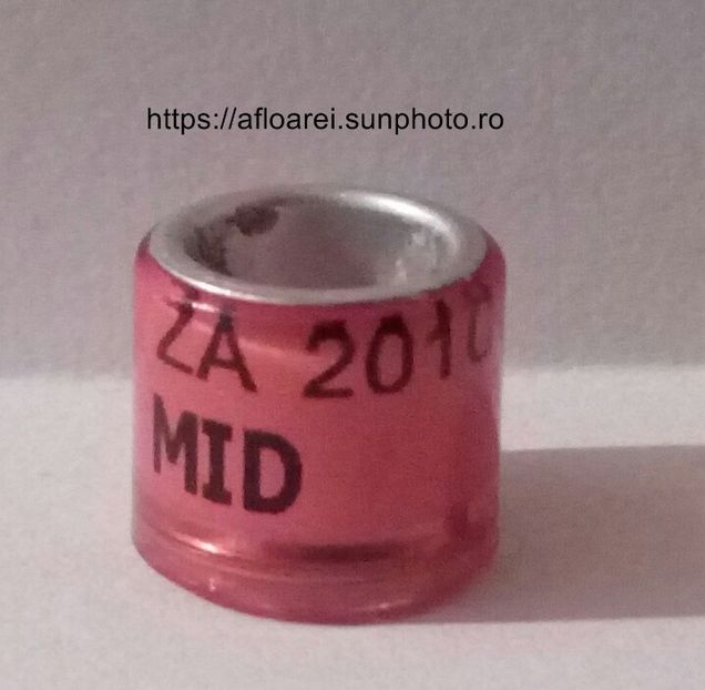 ZA 2010 MID - AFRICA DE SUD