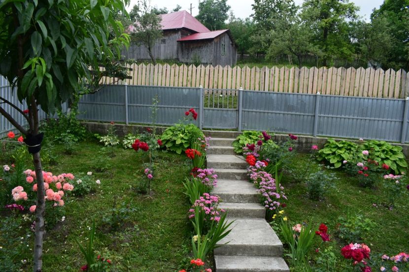  - 000000000000001   GRADINA MEA