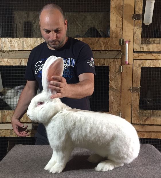 96p - 0 Rezultate expo Națională Băicoi 29 11-3 12 2017